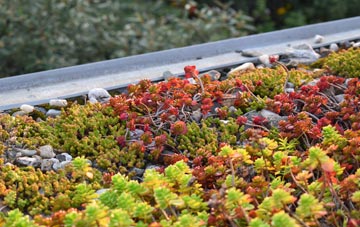 the cost of Smeaton green roof installation
