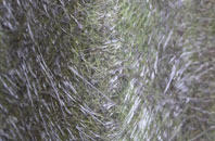 Smeaton fibreglass roof work